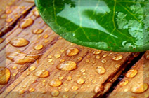 composite wood, composite bio wood, composite timber product - composite wood KL, composite wood Kuala Lumpur, composite wood Johor, composite wood Kedah, composite wood Kelantan, composite wood Malacca, composite wood Negeri Sembilan, composite wood Pahang, composite wood Penang, composite wood Perak, composite wood Perlis, composite wood Sabah, composite wood Sarawak, composite wood Selangor, composite wood Terengganu, composite wood Johor Bahru, composite wood Alor Setar, composite wood Kota Bahru, composite wood Melaka, composite wood Seremban, composite wood Kuantan, composite wood George Town, composite wood Ipoh, composite wood Kangar, composite wood Kota Kinabalu, composite wood Kuching, composite wood Shah Alam, composite wood Kuala Terangganu, composite wood Putrajaya, composite wood Labuan, composite wodd Malaysia